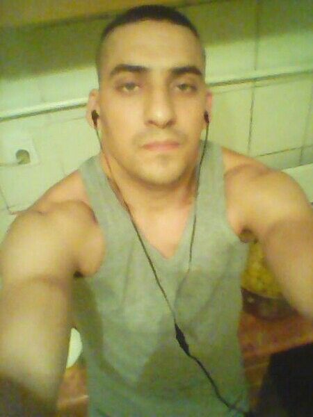  8646183  , 36 ,    
