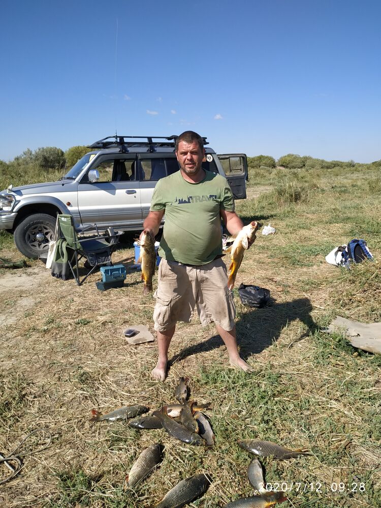 ���� 29002593 ������� ����������, 44 ����, ���� ���������� � ������