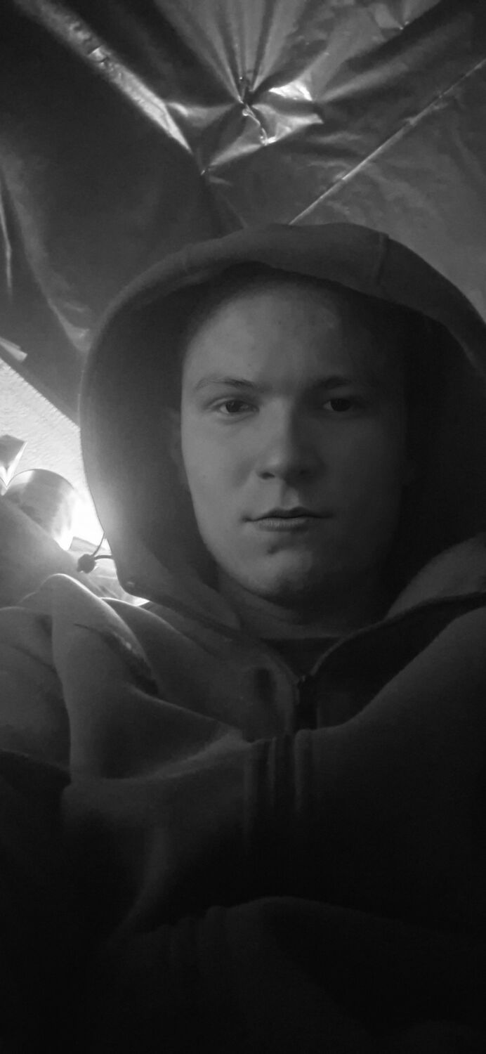 ���� 55066303 ����� ������, 19 ���, ���� ���������� � �����