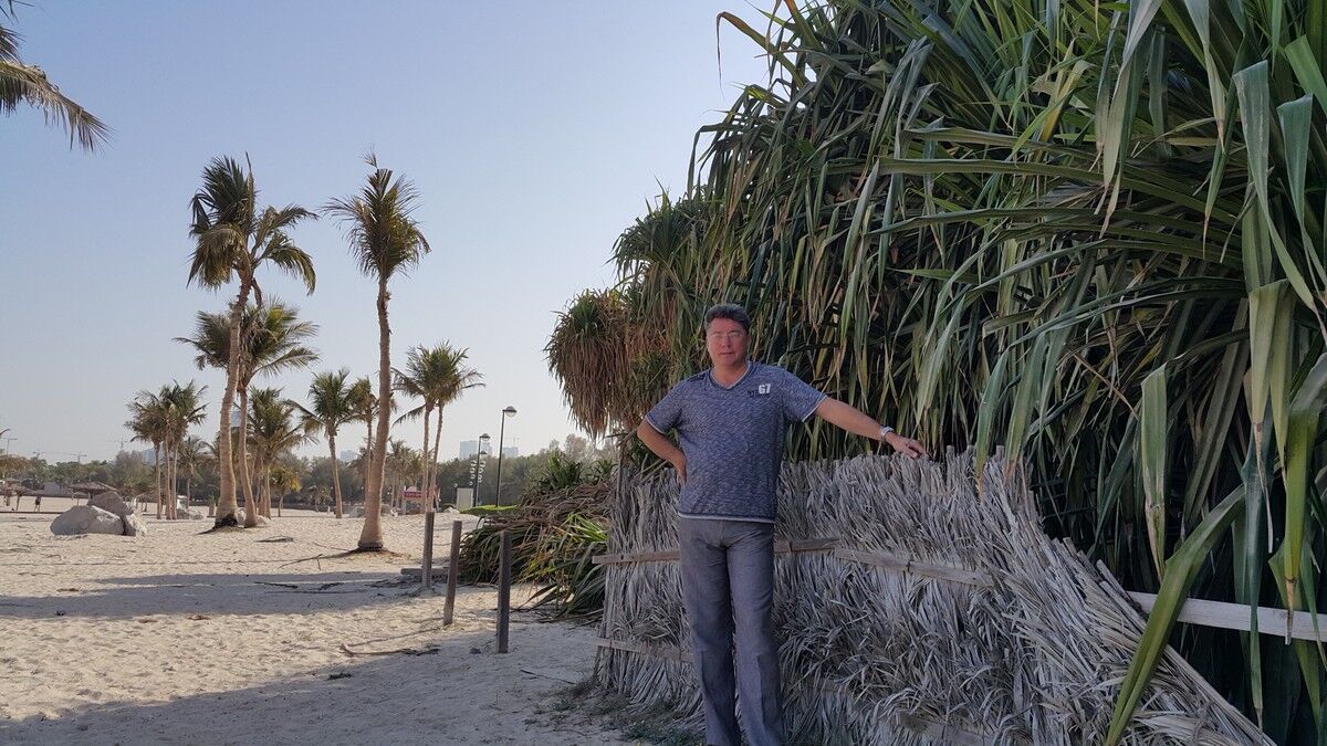 ���� 9360593 ������� ����, 52 ����, ���� ���������� � ���������