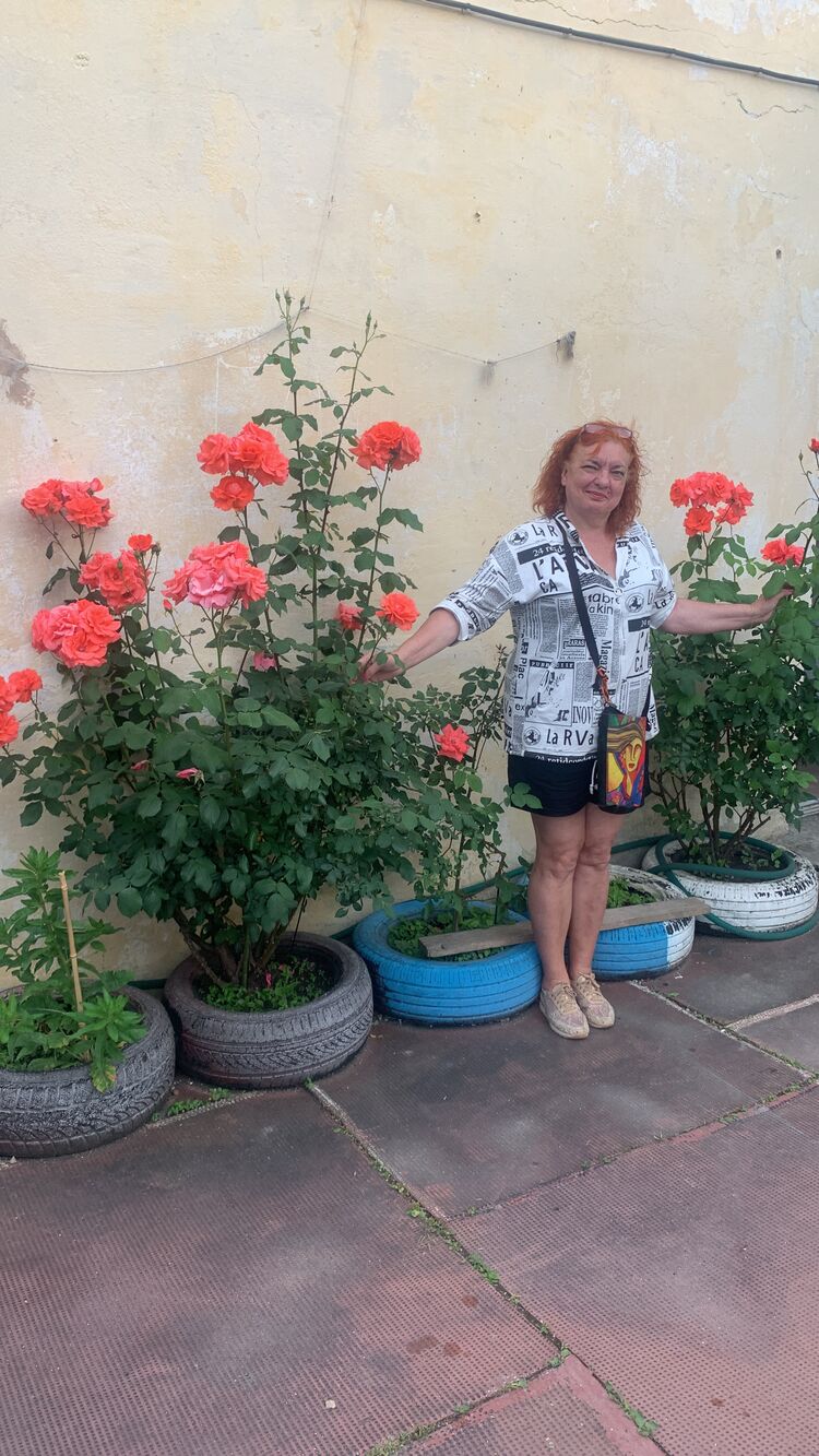  ,   , 56 ,   ,   