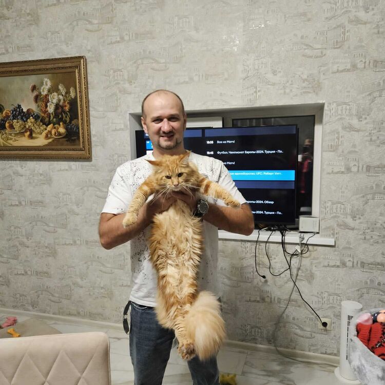 ���� 46242123 ������� ���, 42 ����, ���� ���������� � ������