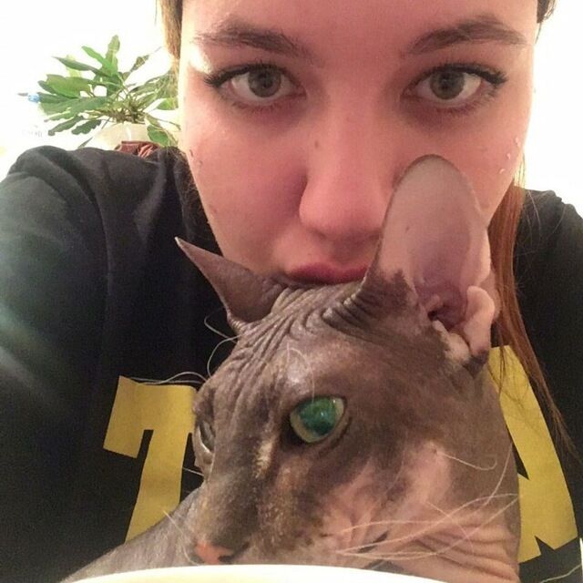 ���� 55787903 ������� ����, 21 ���, ���� ���������� � ������