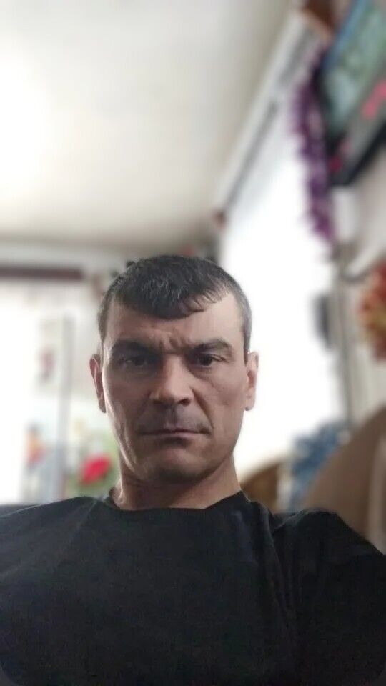  49881173  , 45 ,    