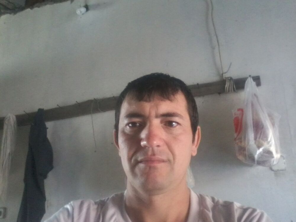 ���� 10154993 ������� Elbek, 42 ����, ���� ���������� � �������-��-����