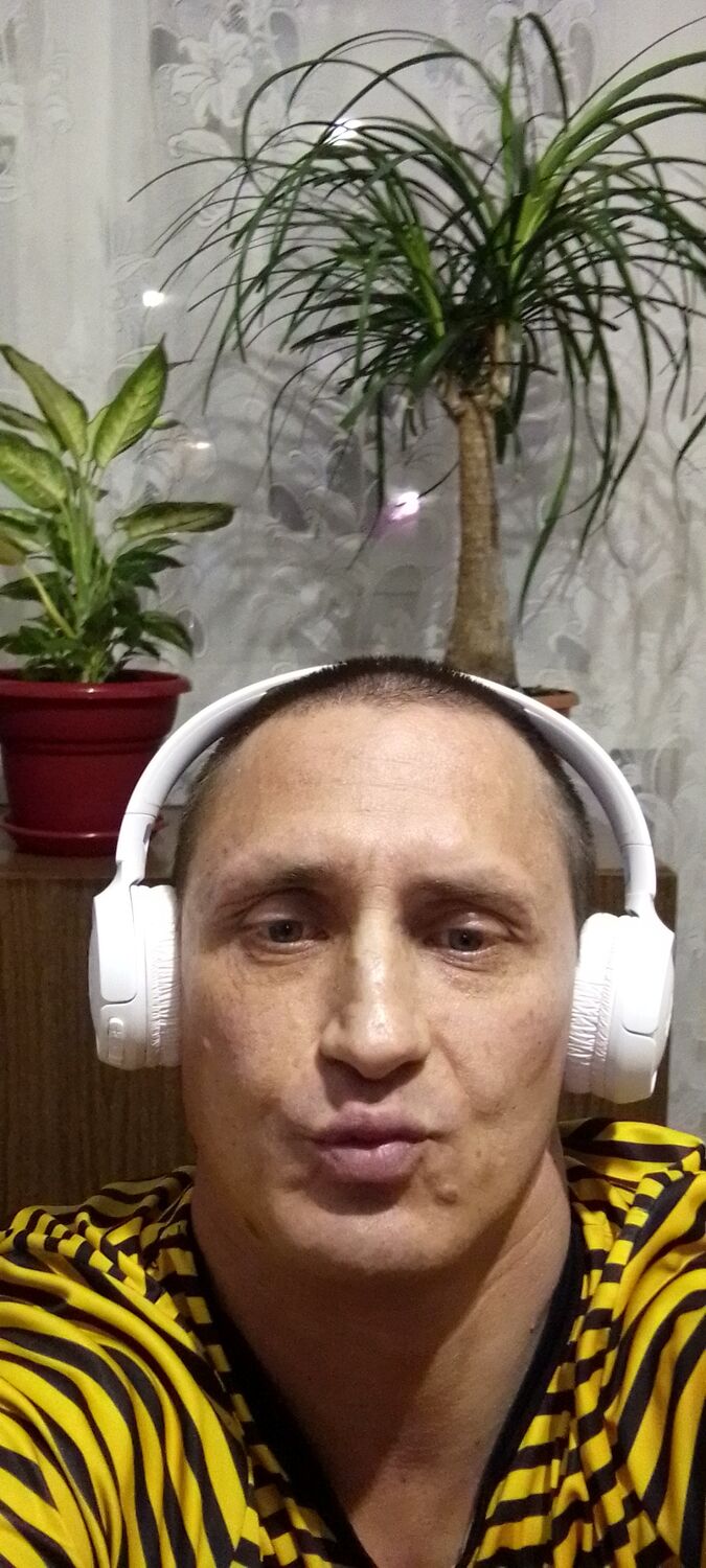  31228463  , 45 ,    