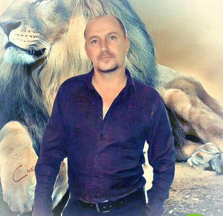 ���� 17617663 ������� ���������, 51 ���, ���� ���������� � �������