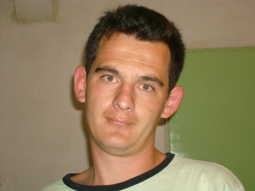 ���� 4104313 ������� ����, 48 ���, ���� ���������� � ��������