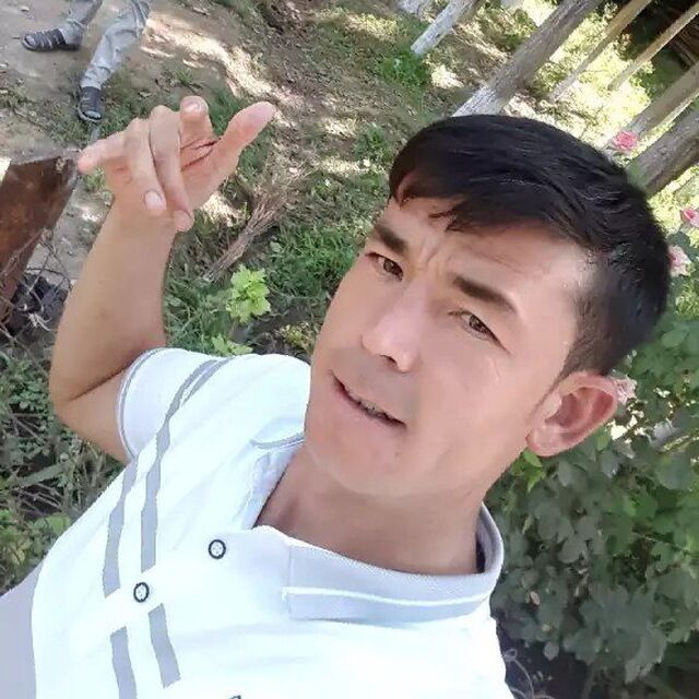  50058483  , 36 ,    