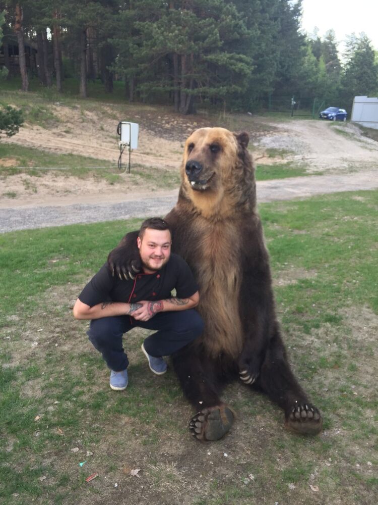 ���� 13173023 ������� ������, 29 ���, ���� ���������� � ���������