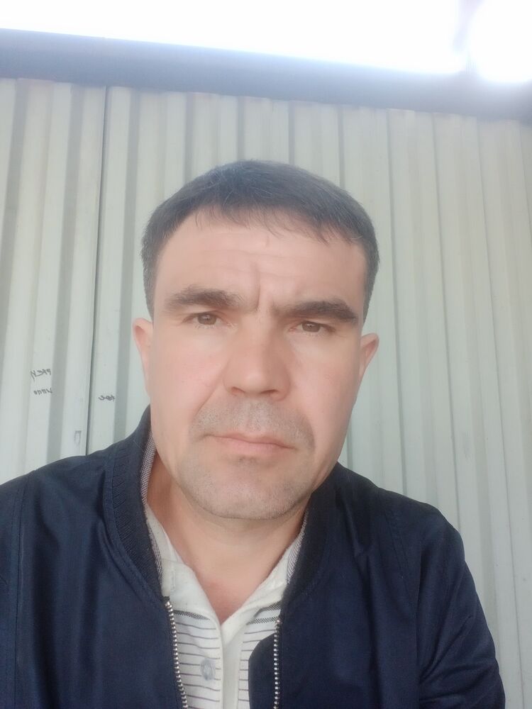  53655863  , 41 ,    