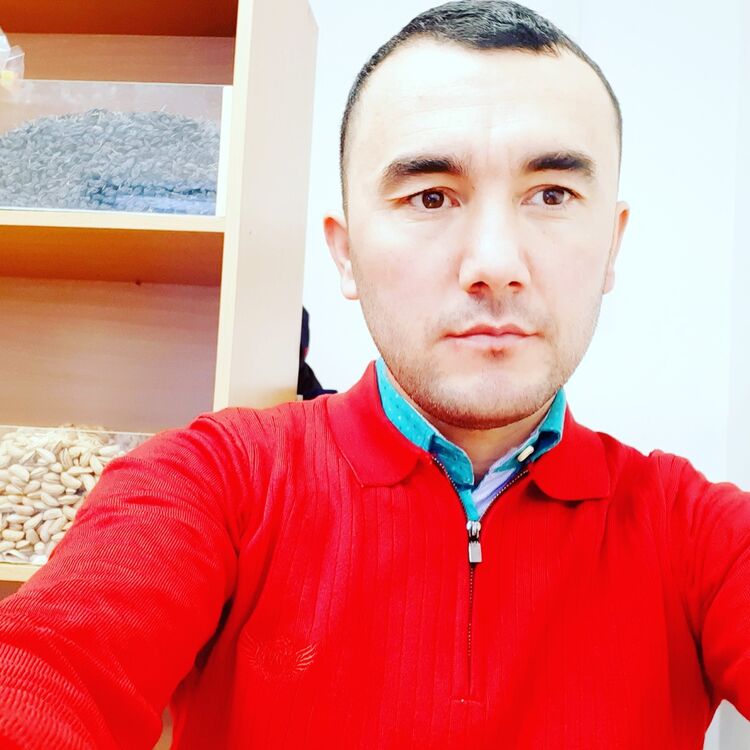 ���������� ������, ���� ������� Kubo, 38 ���, ������������ ��� ������, ����� � ���������, c�������� ���������, ���������