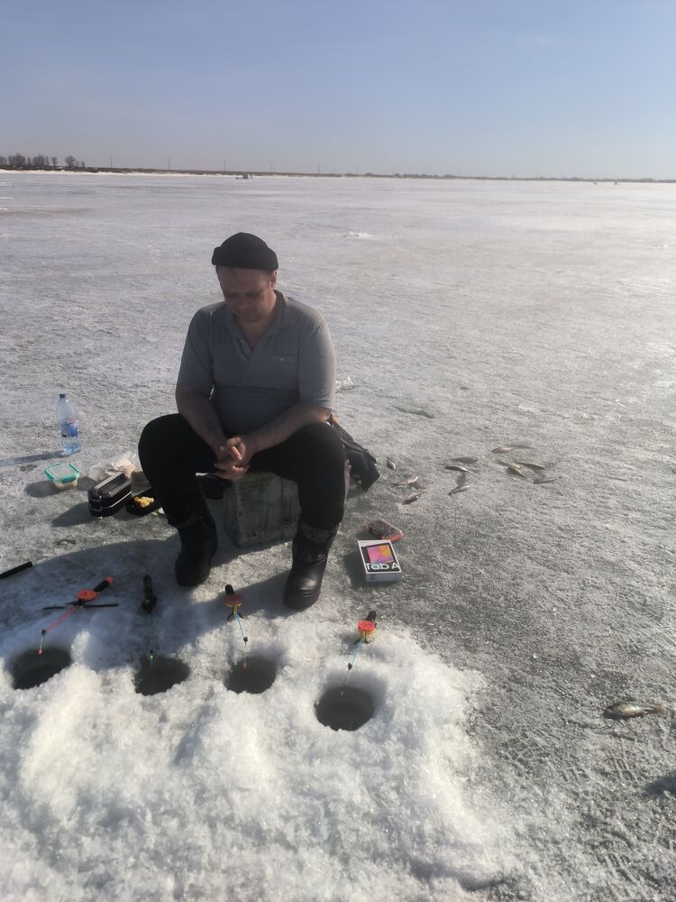 ���� 56254133 ������� ����, 37 ���, ���� ���������� � �������