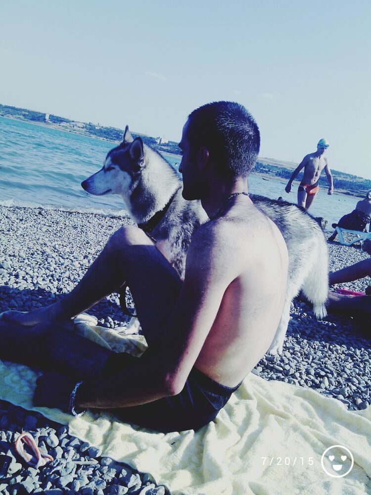  ,   Gogola, 36 ,   ,   , c 
