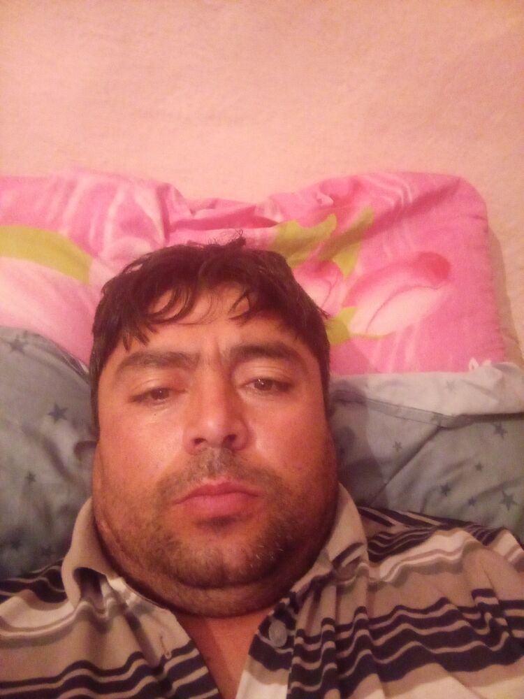  42128843  , 42 ,    