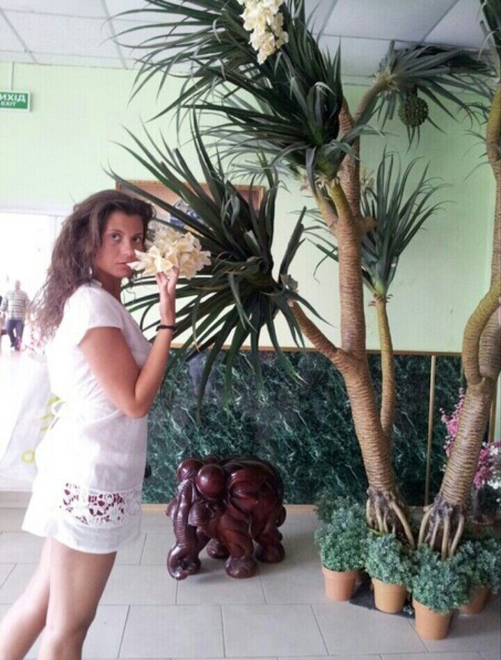 ���������� �������, ���� ������� ����, 42 ����, ������������ ��� ������, ����� � ���������, c�������� ���������