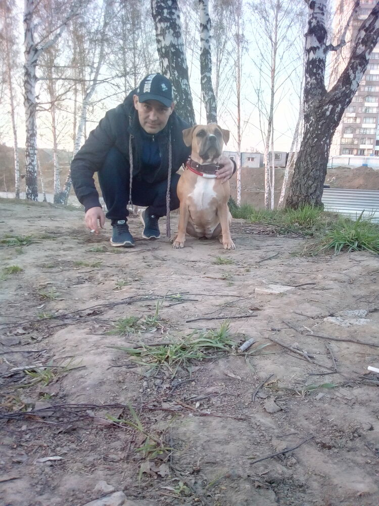  ,   , 46 ,     , c , 