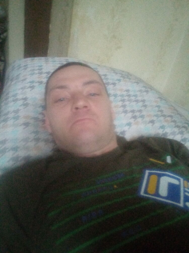  31456353  , 41 ,    