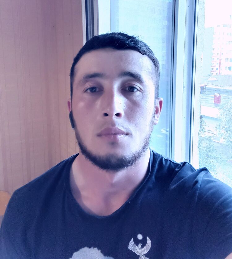  34146553  , 29 ,     