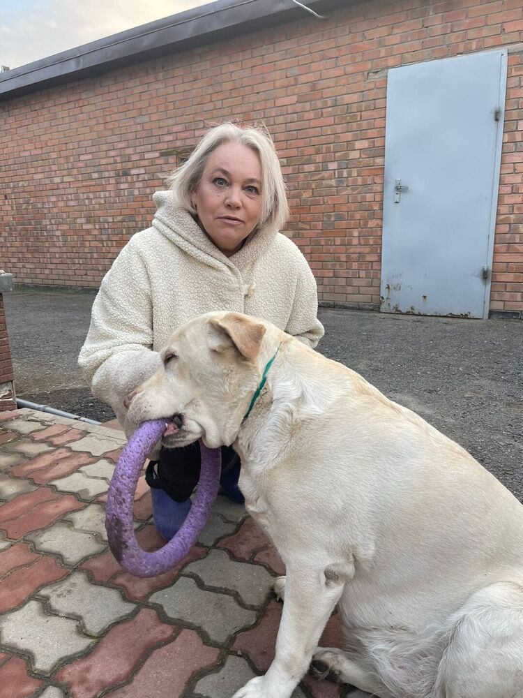 ���������� ����������, ���� ������� ������, 63 ����, ������������ ��� ������, ����� � ���������