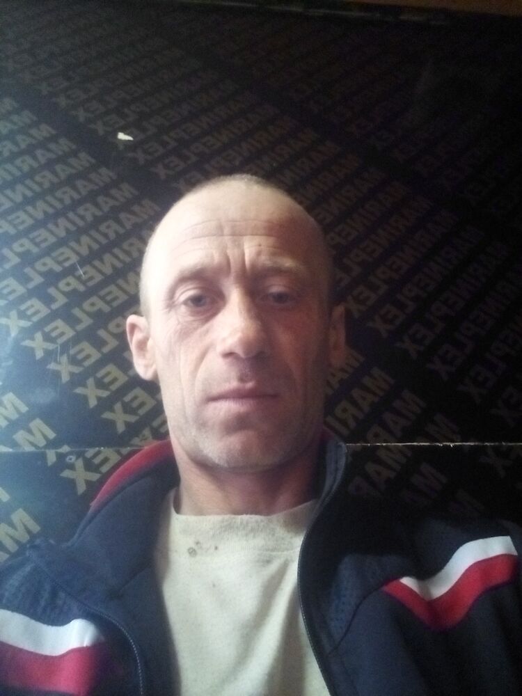  26564163  , 43 ,    -