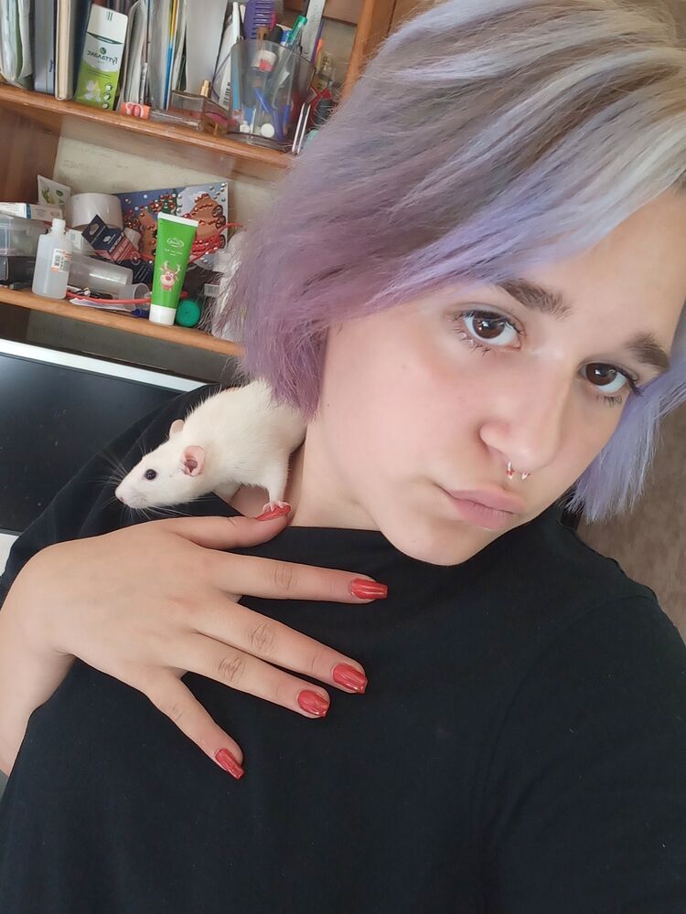 ���������� ������, ���� ������� ���, 23 ����, ������������ ��� ������, ����� � ���������, ���������