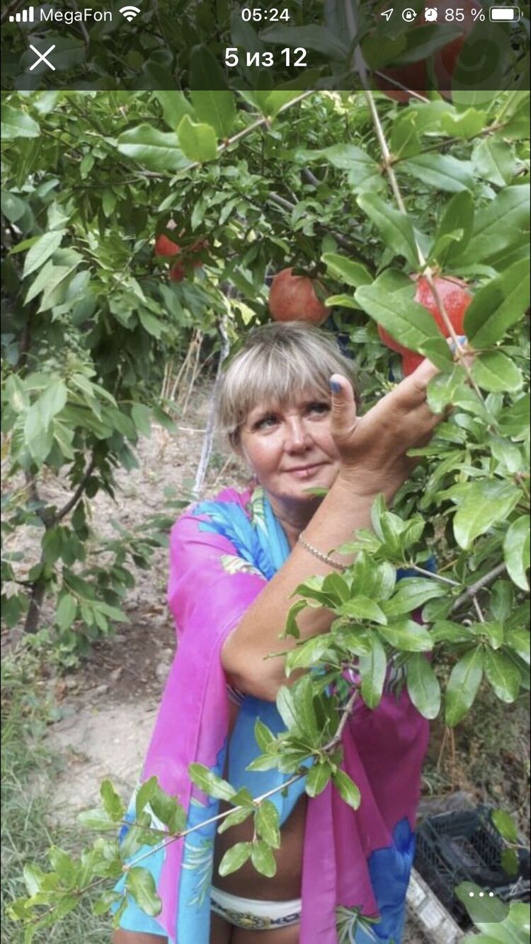 ���������� �����-���������, ���� ������� ��������, 55 ���, ������������ ��� ����� � ���������, c�������� ���������