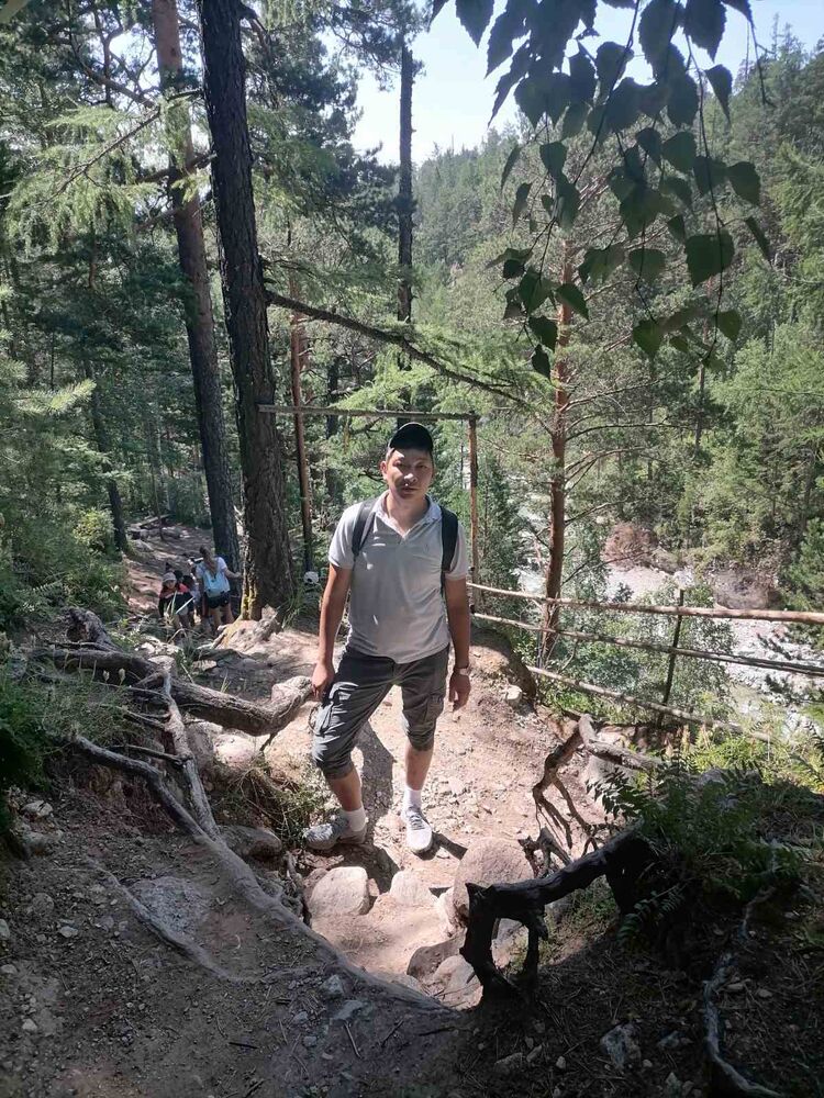  29963673  , 28 ,    -