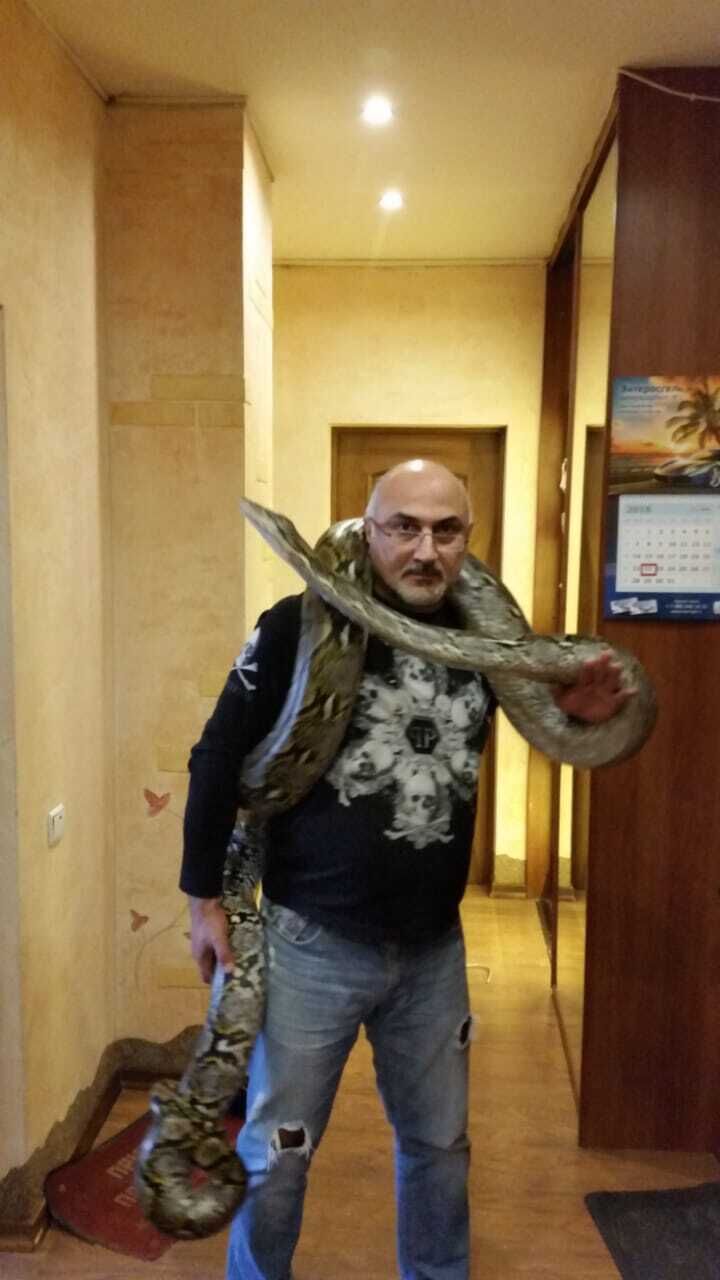 ���� 42085823 ������� ������, 49 ���, ���� ���������� � ������