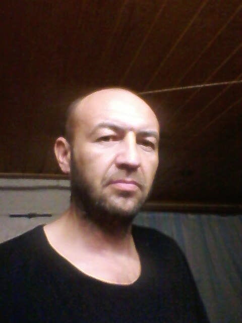  15033813  , 49 ,    