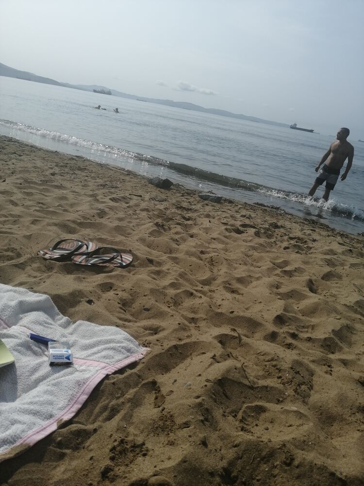 ���� 24066673 ������� ��������, 40 ���, ���� ���������� � �������