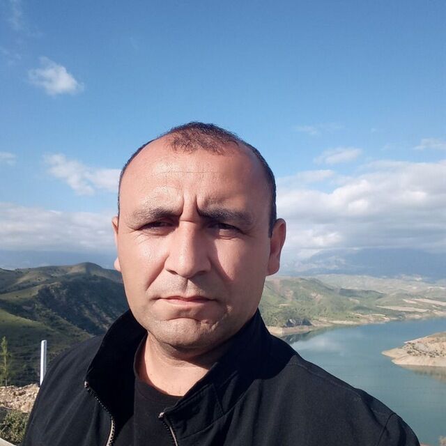  35532653  , 42 ,    