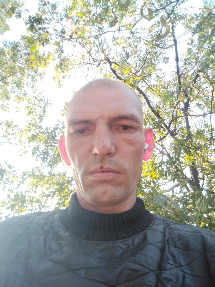  37507683  , 40 ,    
