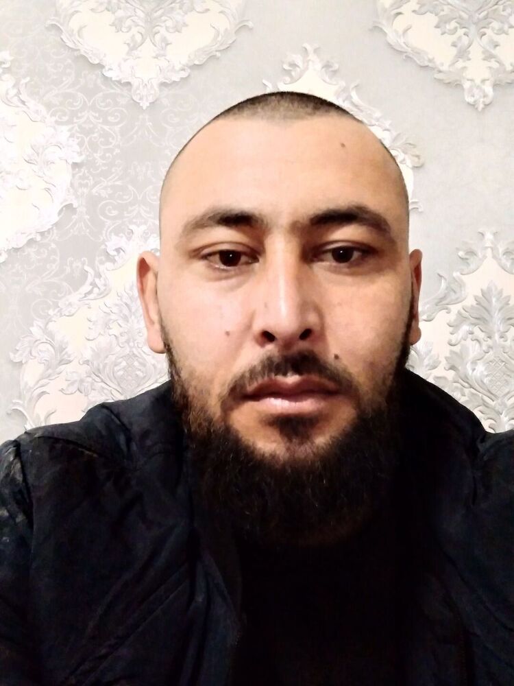 ���� 25112123 ������� Shake, 33 ����, ���� ���������� � ��������