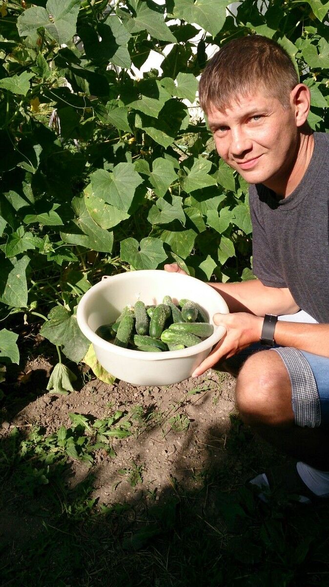 ���� 5485623 ������� ����, 49 ���, ���� ���������� � �����������