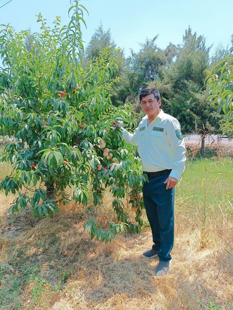  52162153  Nodir, 28 ,    