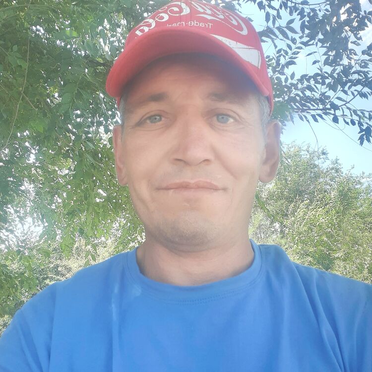  28506583  , 43 ,    