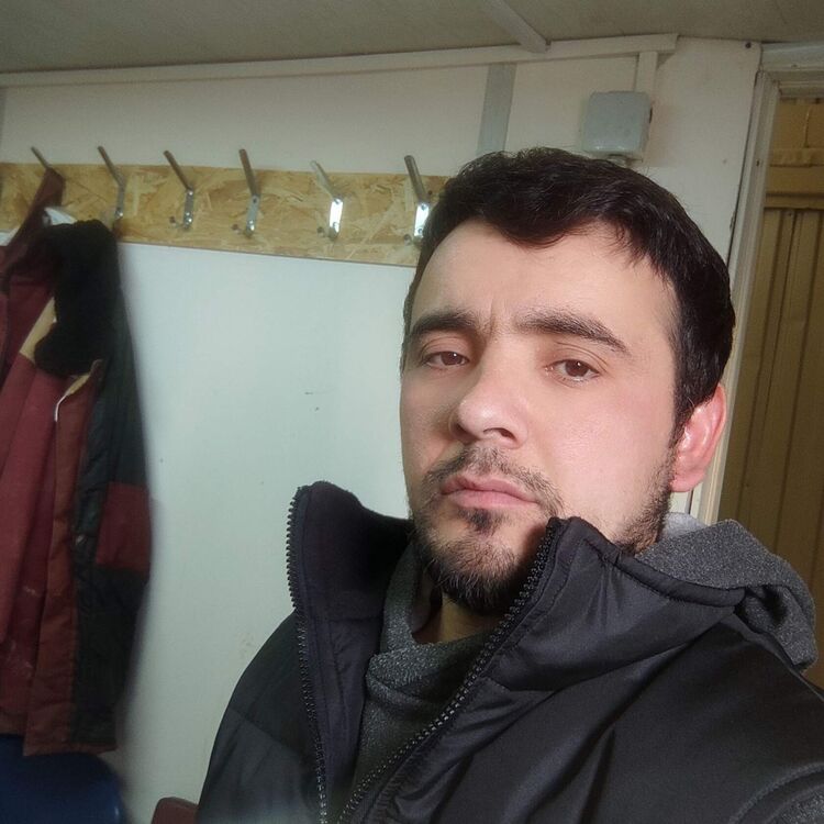  31238183  , 32 ,    