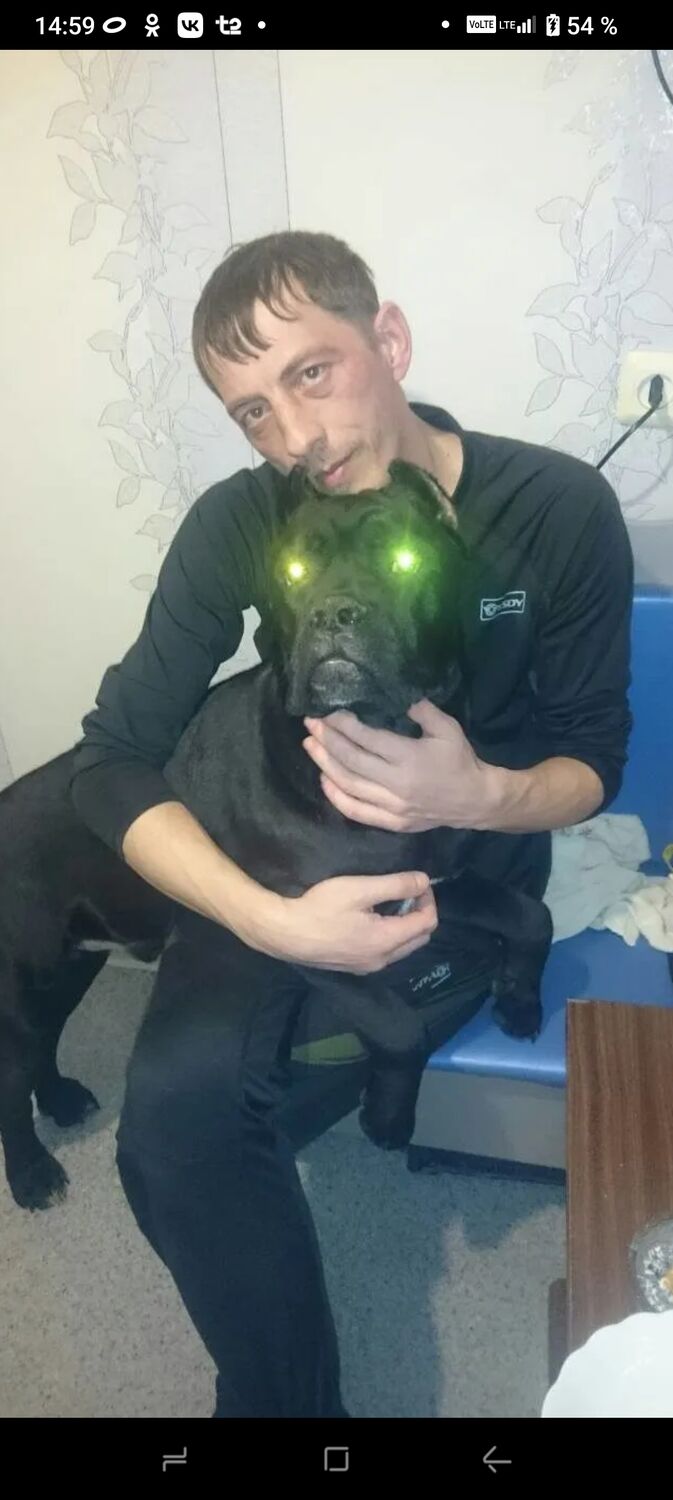 ���� 54910793 ������� ������, 44 ����, ���� ���������� � ���������