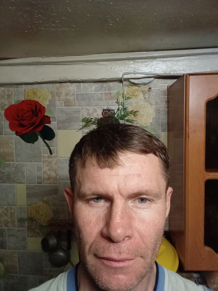  40616933  , 47 ,    