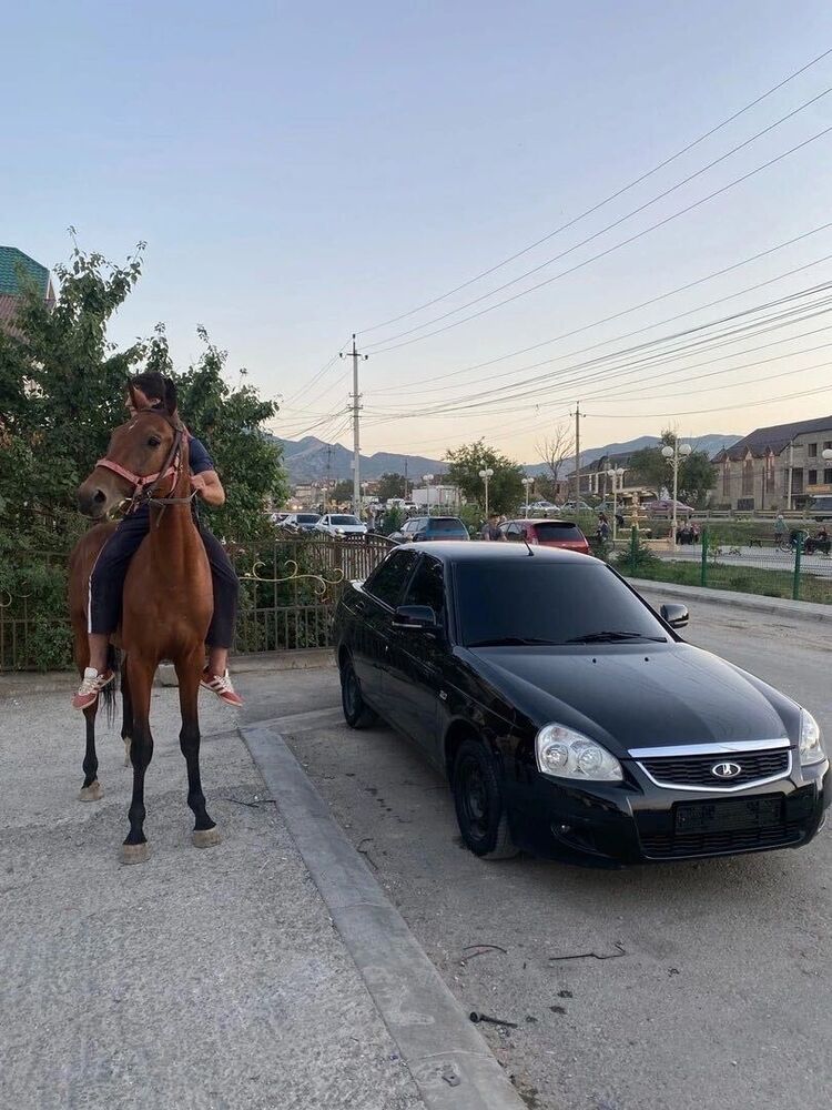 ���� 34094973 ������� �����, 27 ���, ���� ���������� � �����