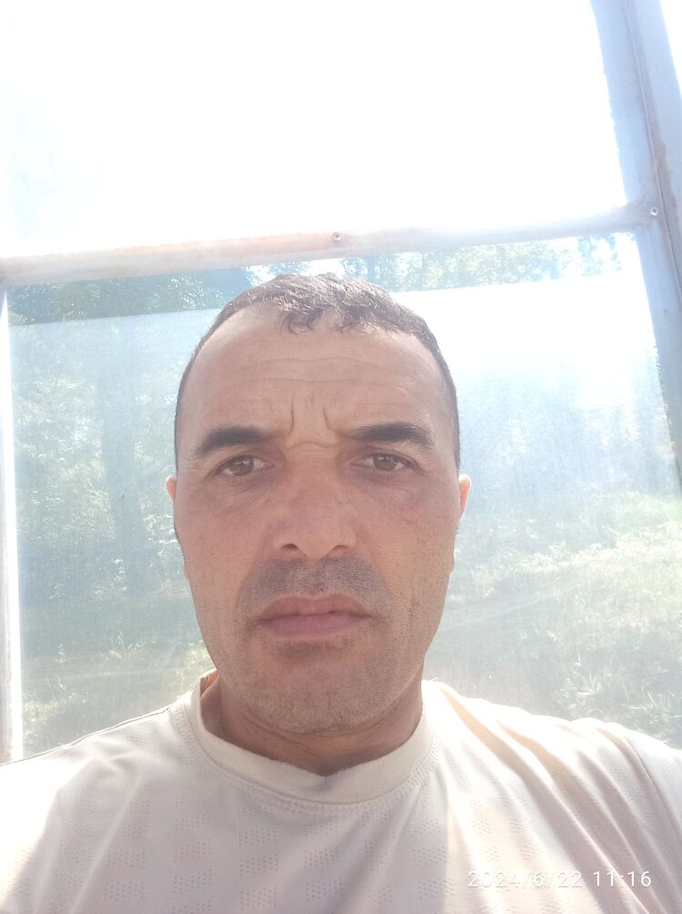  44085623  , 46 ,    