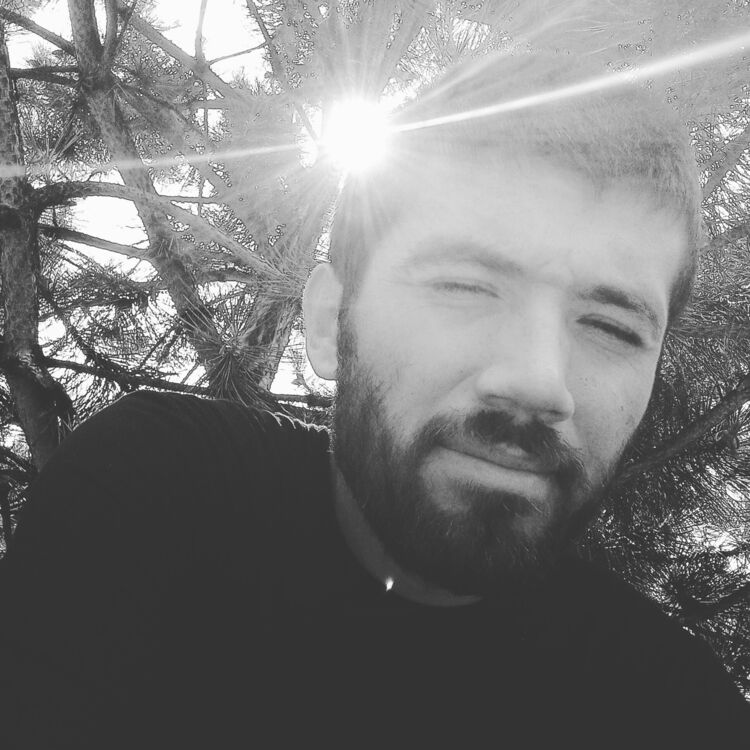 ���� 31213833 ������� ������, 29 ���, ���� ���������� � ���������