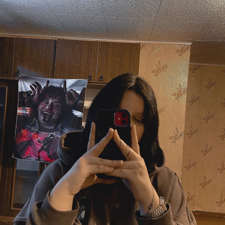  33933013  , 24 ,    