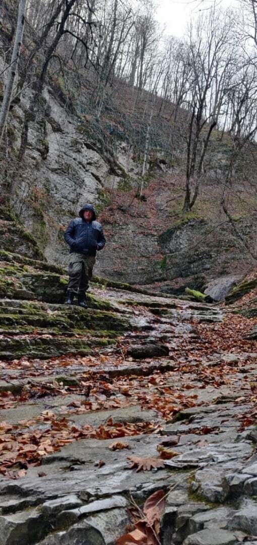  54751523  , 35 ,    -