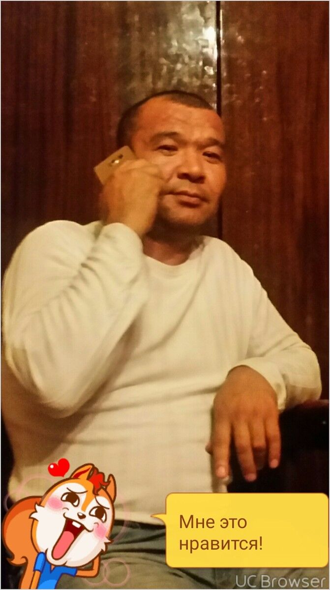 ���� 8147953 ������� ����, 50 ���, ���� ���������� � ������