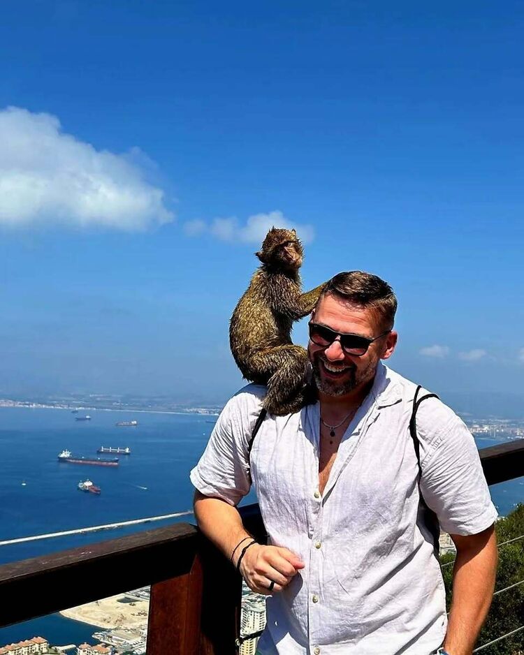 ���������� �����, ���� ������� ����, 37 ���, ������������ ��� ����� � ���������, c�������� ���������, ���������