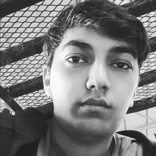 ���� 55358283 ����� �����, 24 ����, ���� ���������� � ������