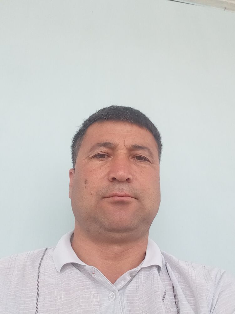  43649553  , 44 ,    