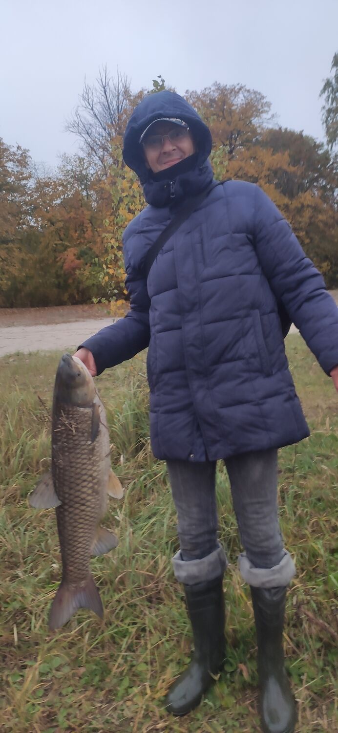 ���������� ����, ���� ������� �����, 52 ����, ������������ ��� ������, ����� � ���������